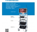Endoscope digital image processing system (fa-310)